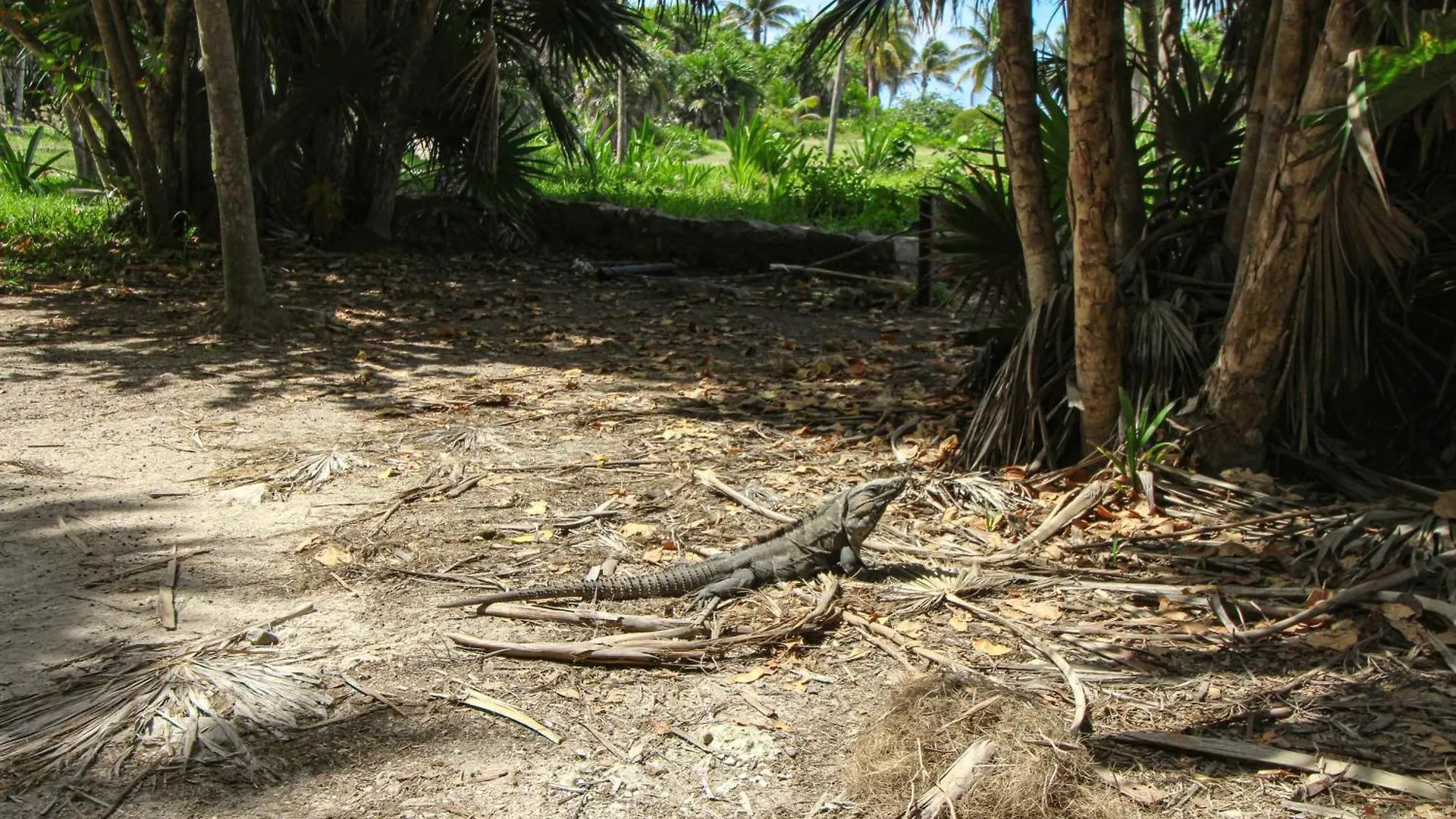 Отель Menesse Tulum #327, Downtown